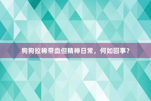 狗狗拉稀带血但精神日常，何如回事？